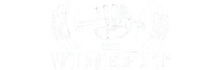 VIBEFIT.IO